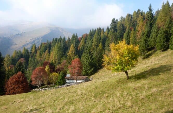 Paesaggio autunnale sulle Alpi Orobie